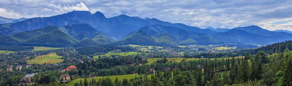 Rauwe honing