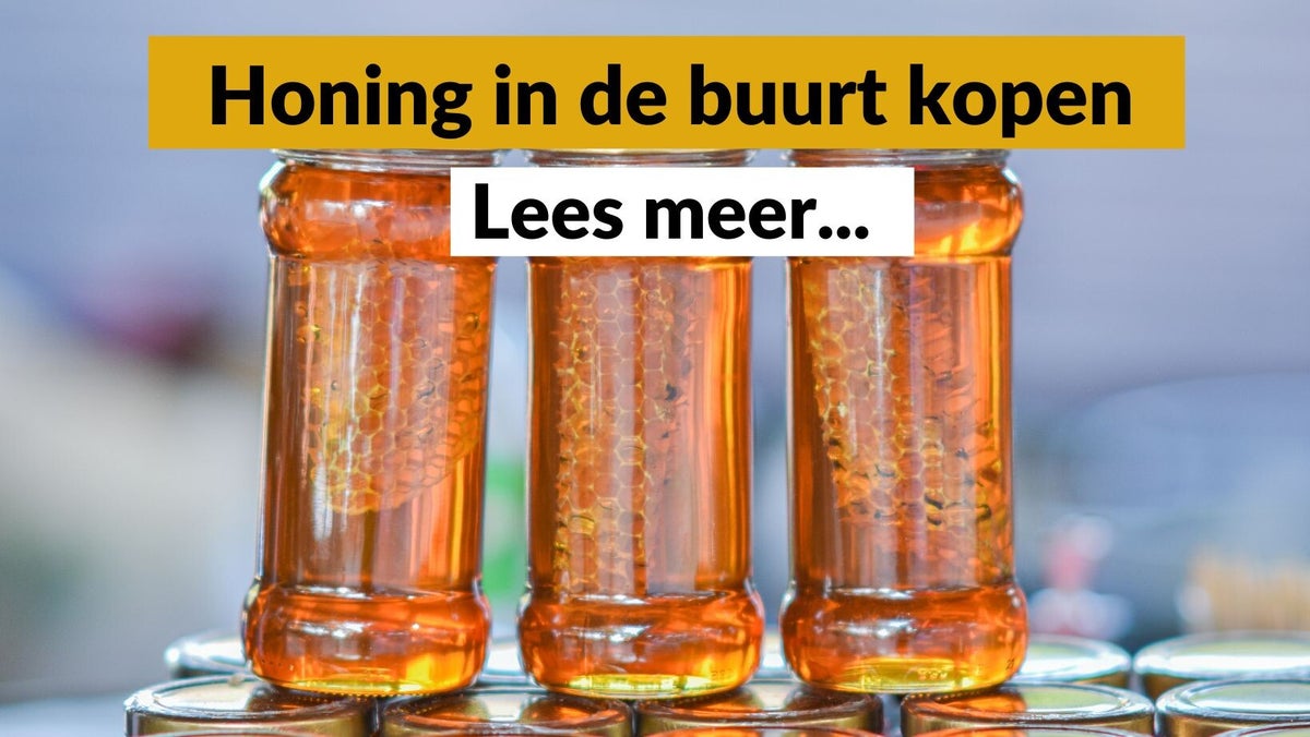 Honing kopen in de buurt: Ontdek lokale, rauwe honing rechtstreeks van ...