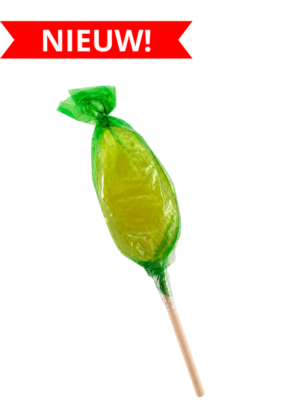 Honinglolly met munt
