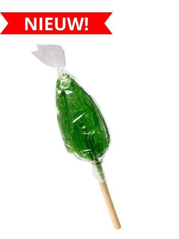 Honinglolly met munt