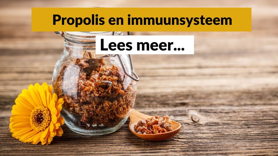 Is propolis goed voor immunsysteem?
