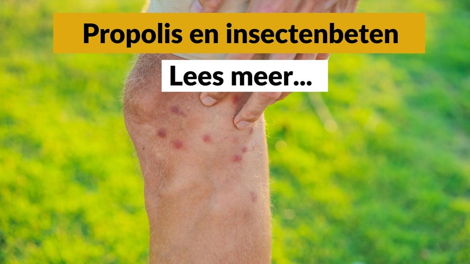 Propolis tegen insectenbeten - Pure Honey