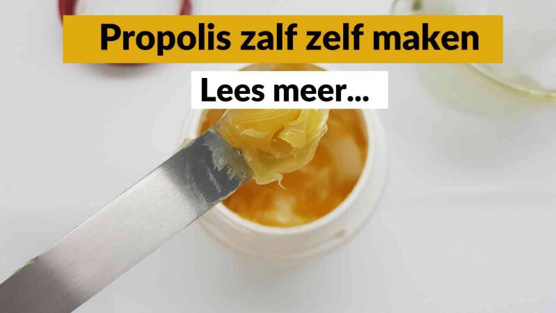 Vliegenval met honing - Pure Honey