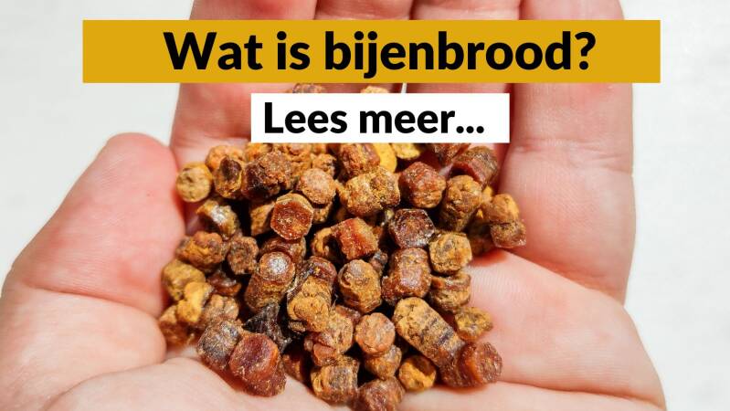 Wat is bijenbrood? Pure honey