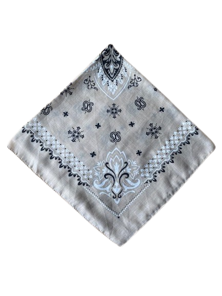 Scarf New Beige - 17