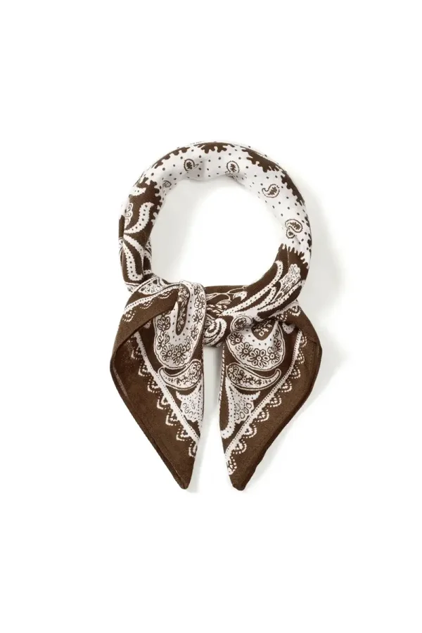 Scarf Paisley