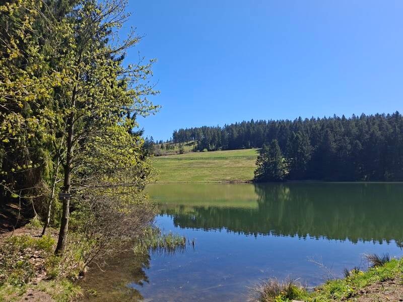 Fotowanderung Harz, Fotokurs Harz, Fotowandern im Harz