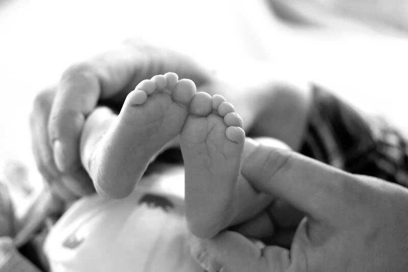 Fotoshooting Harz, Fotograf Harz, Paarfotos, Familienfotos, Goslar, Bad Harzburg, Wernigerode, Qudlinburg, Seesen, Thale, Blankenburg