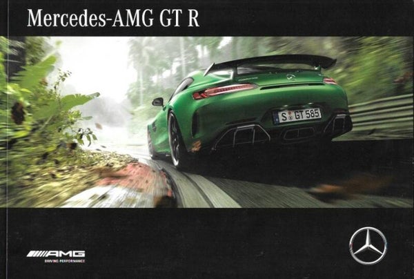 Mercedes-AMG GT R - 2017/D
