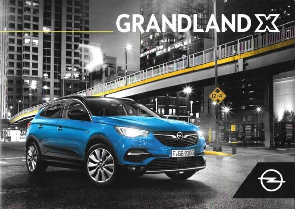 Opel Grandland X - 2020/NL