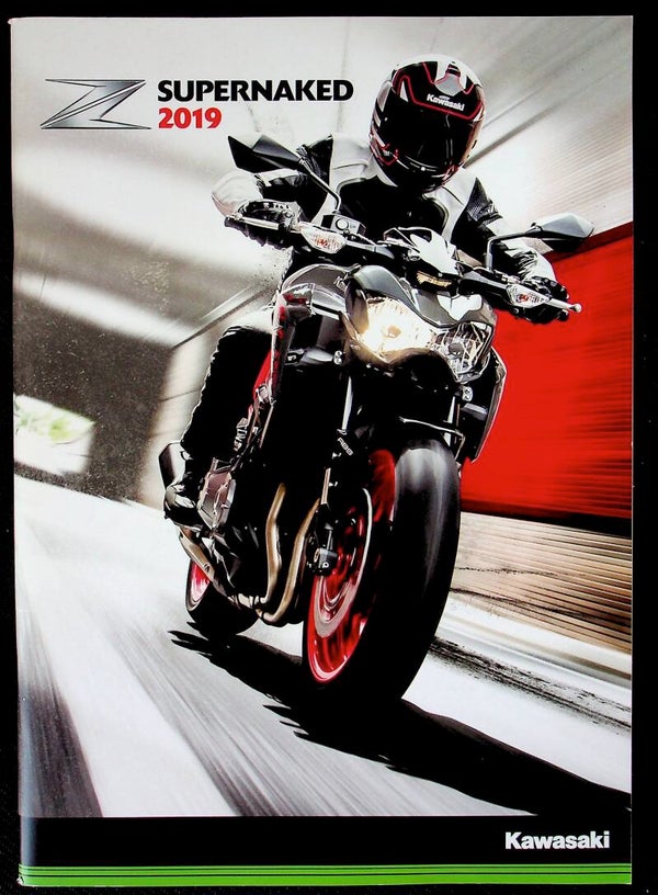 Kawasaki Z Supernaked 2019