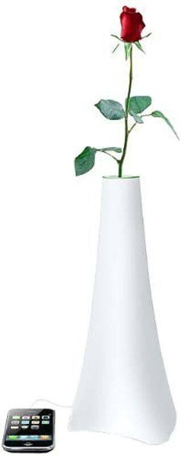 Vase, Enceinte lumineuse - Soliflore