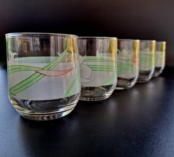 Verre à eau (lot de 5)