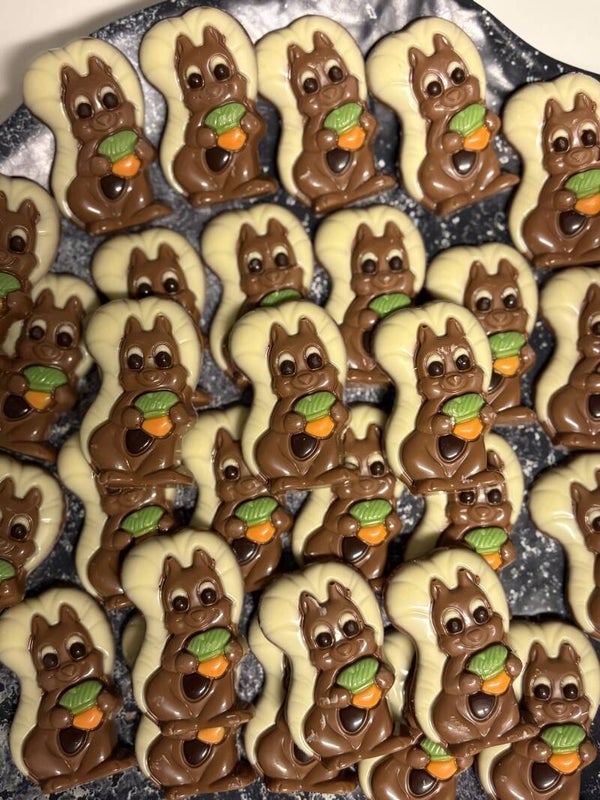 Chocolade Eekhoorntjes