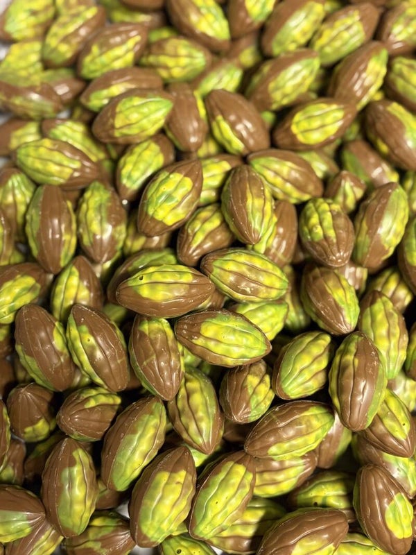 Praline Cacaobonen (Melk)