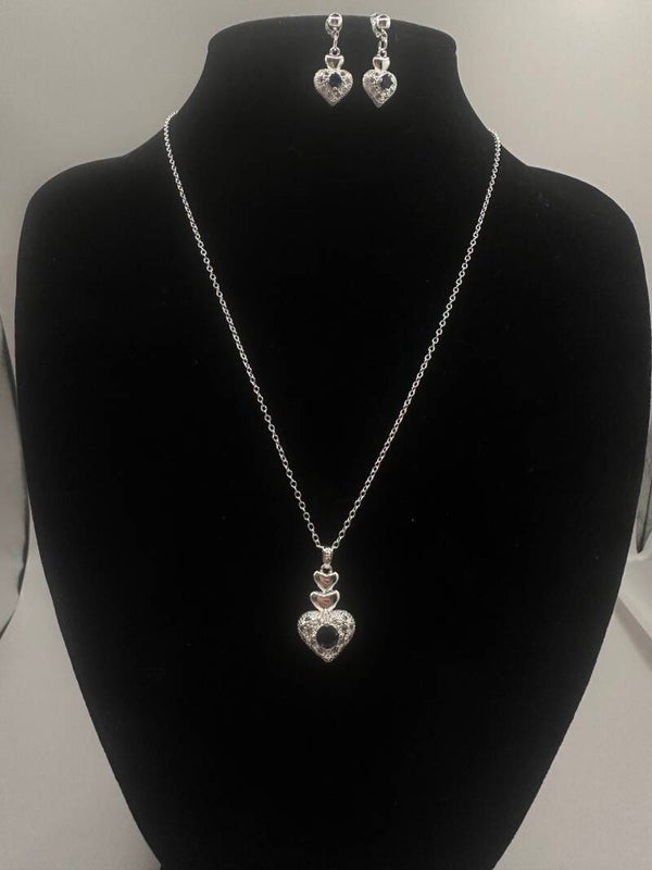 Elegante roestvrije sieradenset