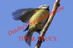 Dutchy&#039;s Nauurfotografie.