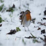DSC09645.jpg