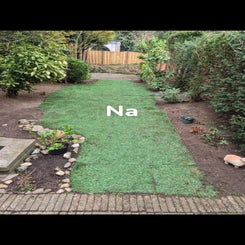 img_3683-standard.jpg