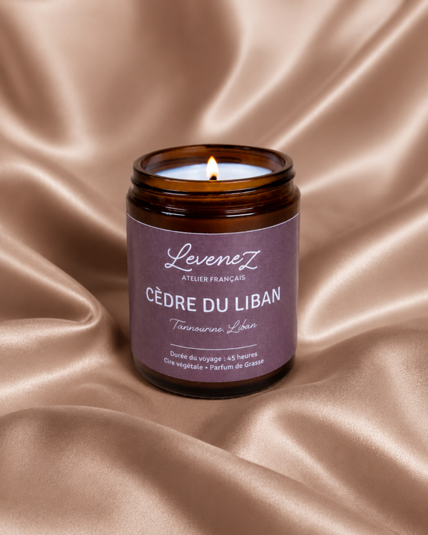 Bougie Voyage - Cèdre du Liban, inspirée des forêts de Tannourine - 180g