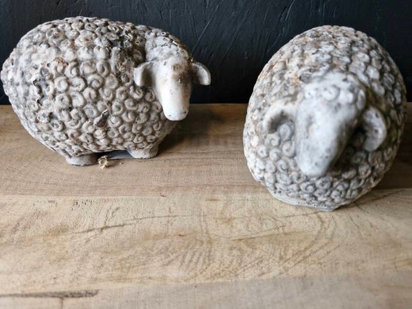 Schaapjes van Countryfield