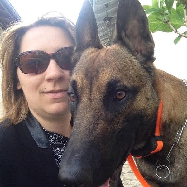 Portrait de Jay, un chien accompagné pour ses problèmes de réactivité