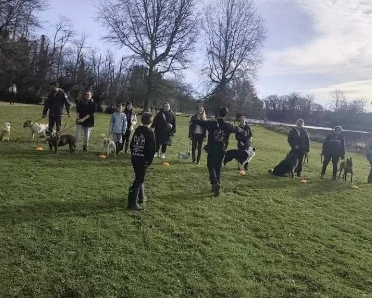 Julien Delsus pendant une balade éducative avec plusieurs maîtres, maîtresses et leurs chiens près de Dax dans les Landes