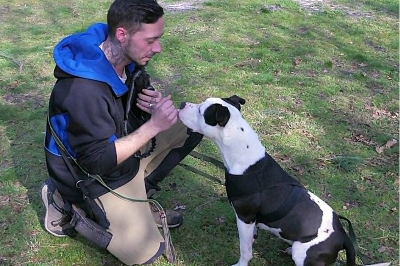 Julien Delsus observant le comportement d’un chien pendant une séance d’éducation canine