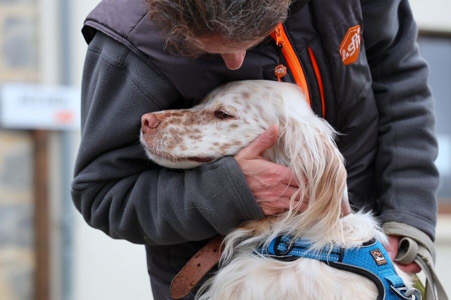 Personne accompagnant un chien dans un refuge avant son adoption