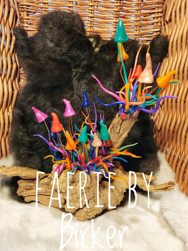 FCL016 - Colorsplash Funghi