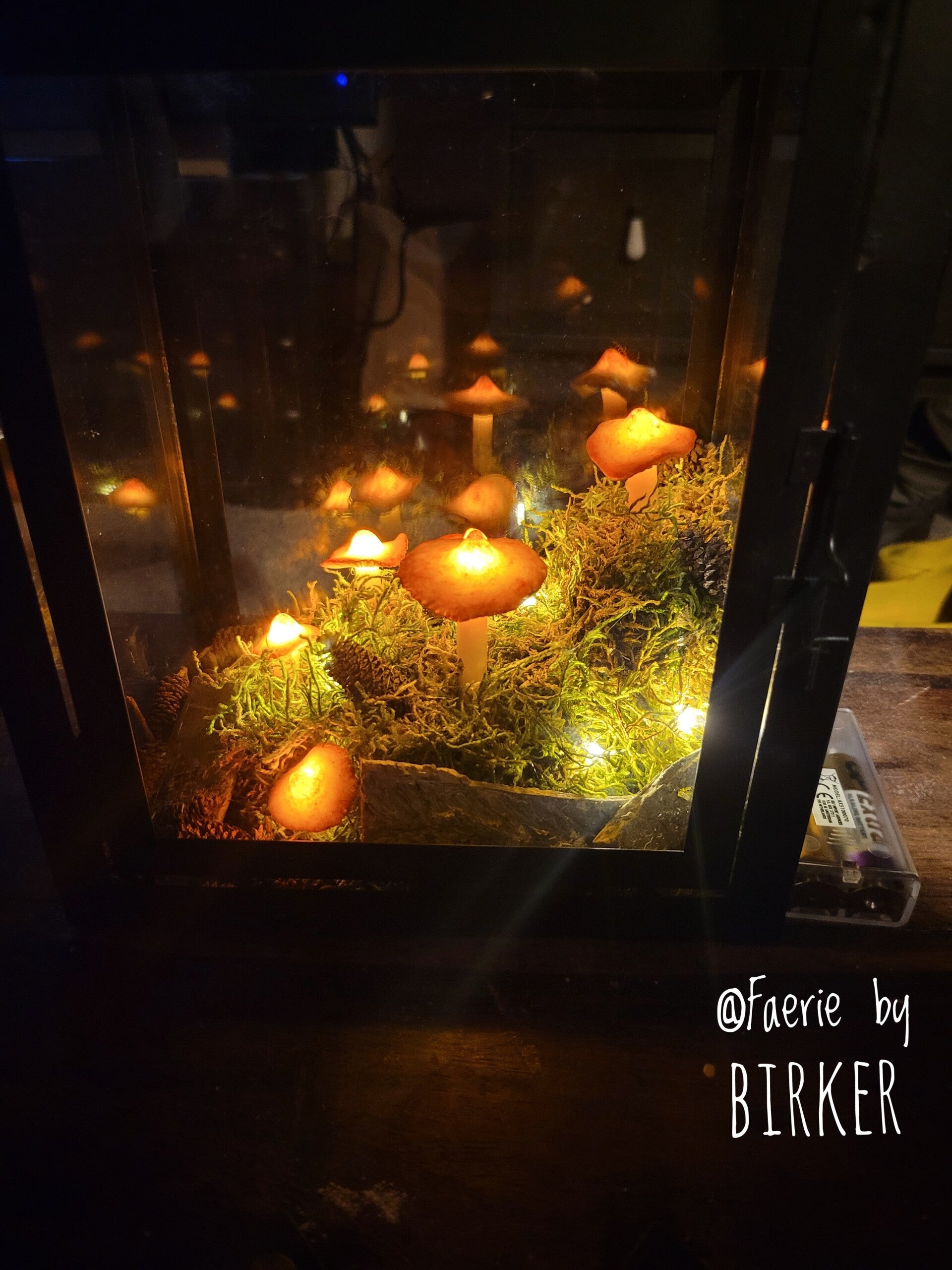 VERKOCHT - Mushroom Lights Lantern - OOAK