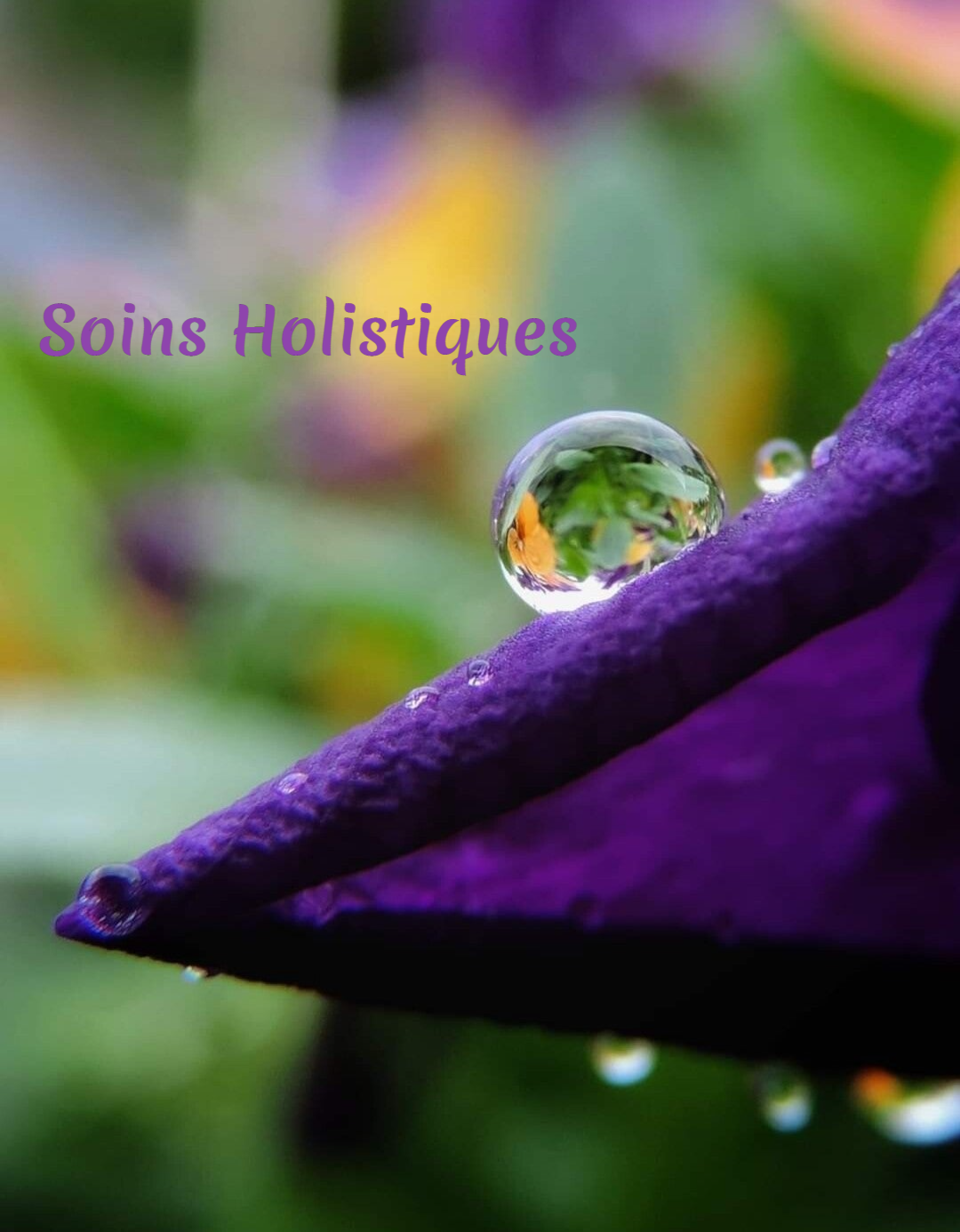 Soins Holistiques