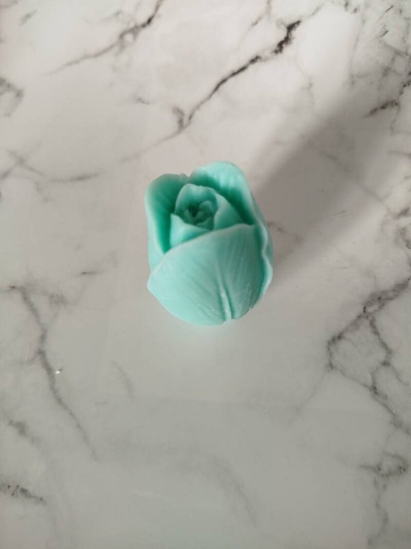 Tulipano