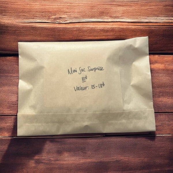 Mini Sac surprise