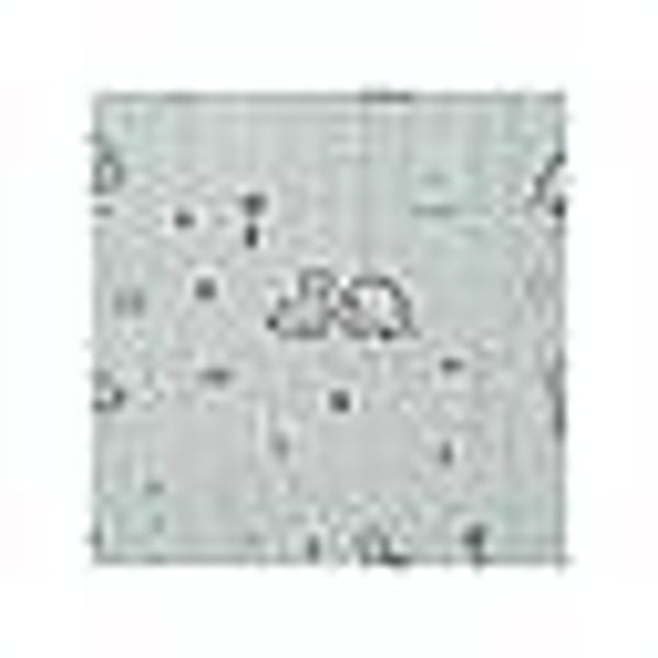 Jurassic Bimbidreams