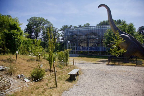 Oertijdmuseum Boxtel