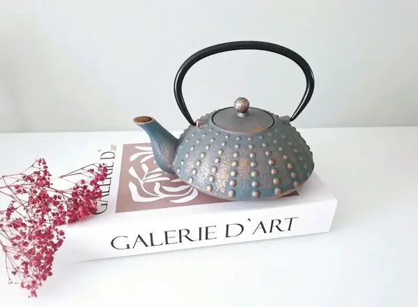 Japanse traditionele gietijzeren theepot
