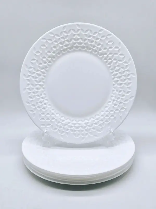 Set van 6 grote borden uit de Nordic Epona collectie van Luminarc