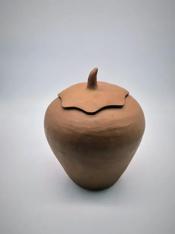 Terracotta pot