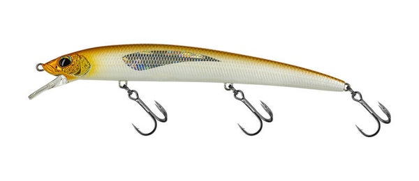 ARTIFICIALI Molix Finder Jerk EVO 150 SS