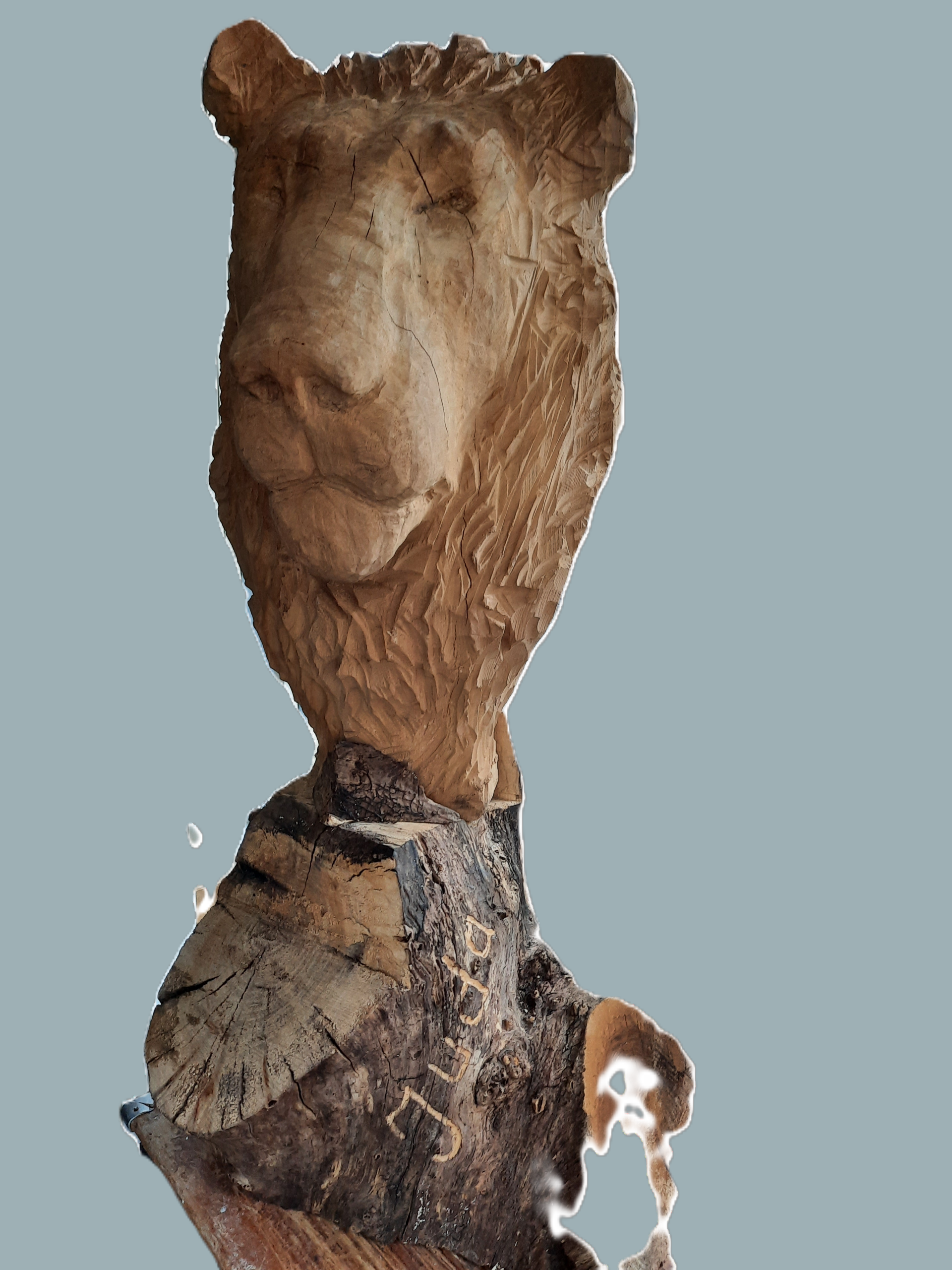 Houtsculptuur van een leeuw