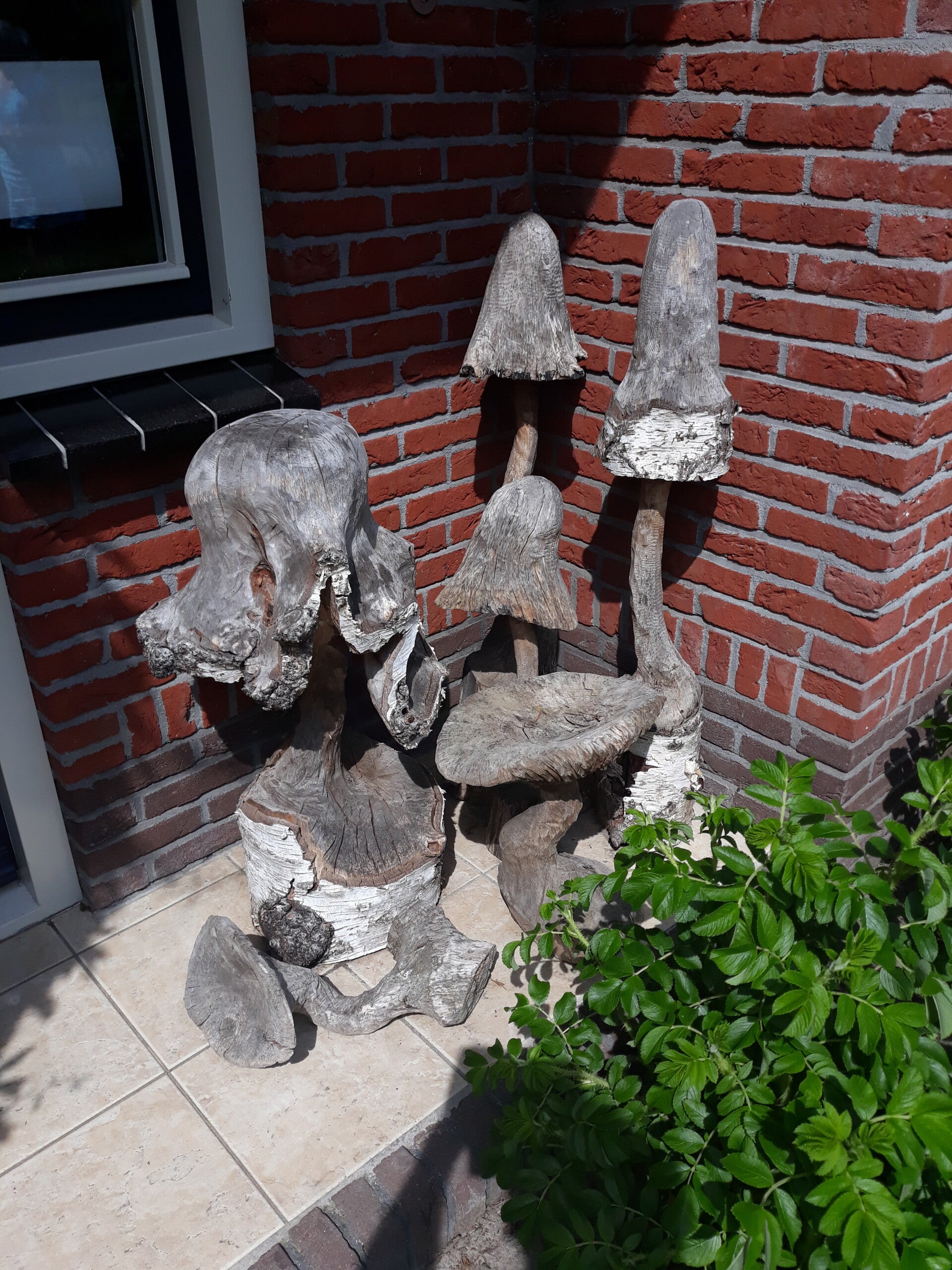 Houtsculptuur van paddestoelen