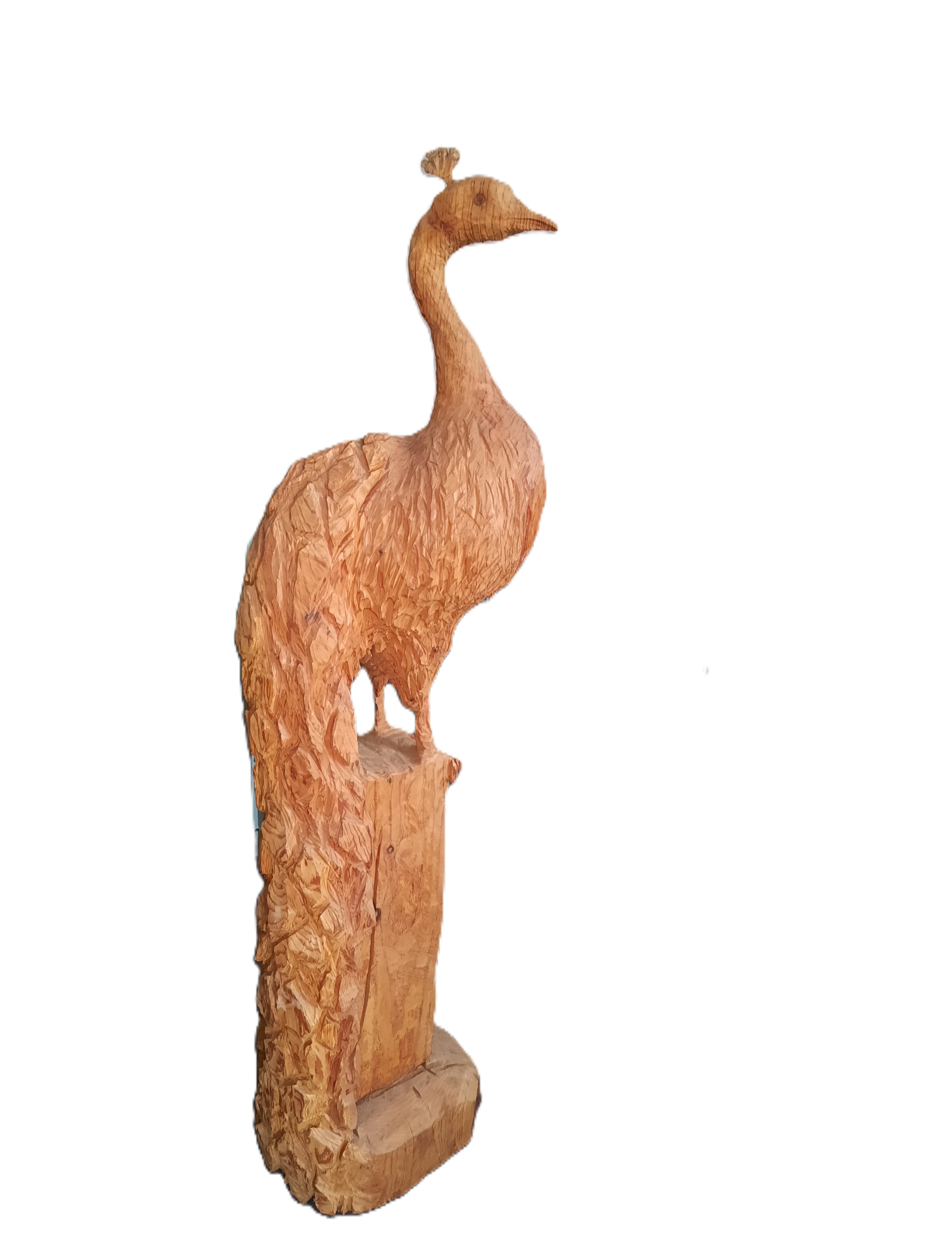 Houtsculptuur van een pauw