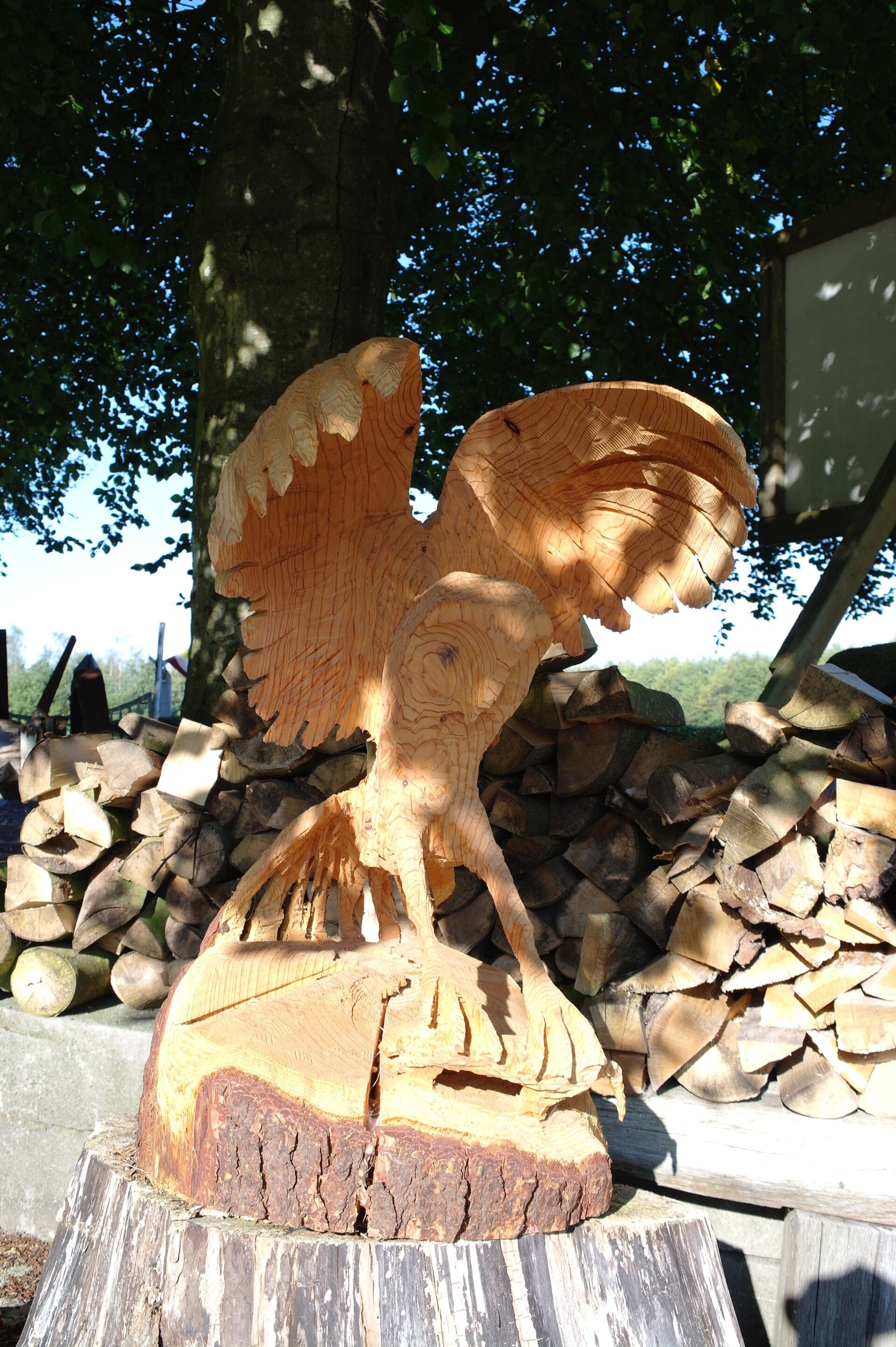 Houtsculptuur van een uil
