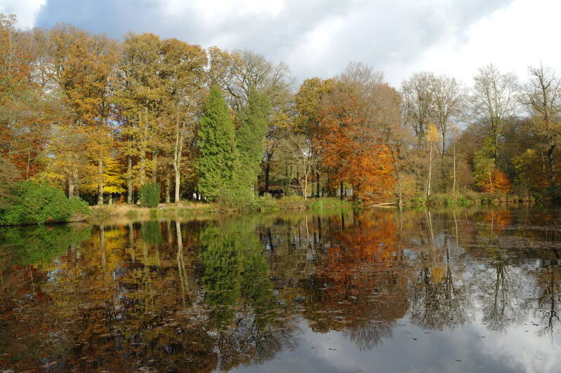 Mooie natuur met water en bomen