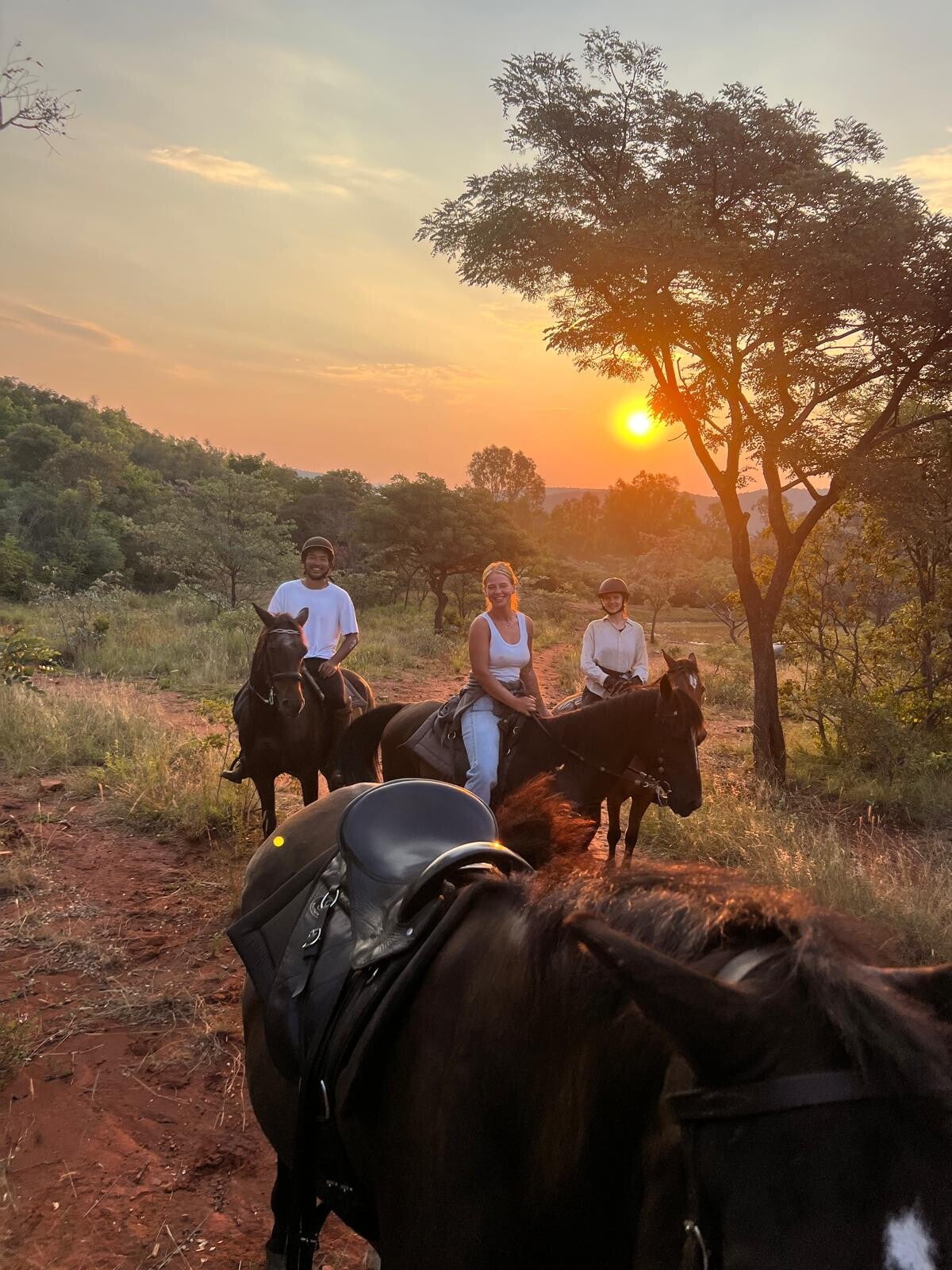 sunset-isis-brigitta-and-richie-standard.jpg