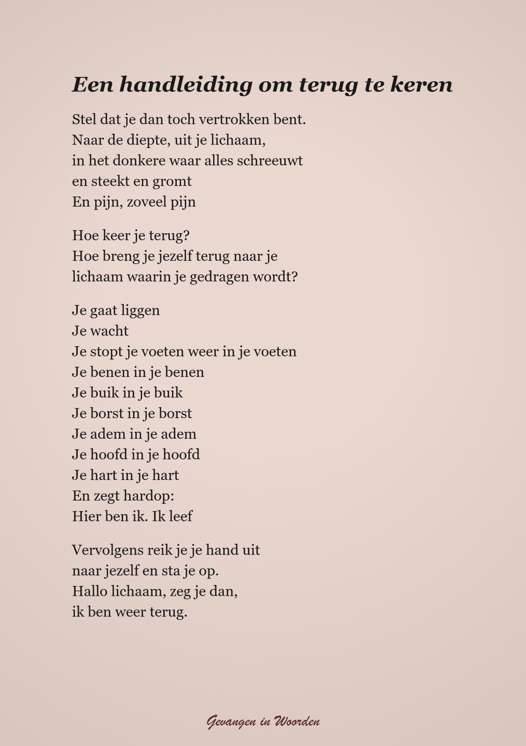 Gedicht HANDLEIDING OM TERUG TE KEREN