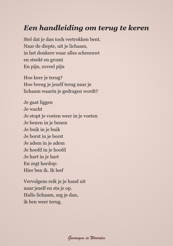 Gedicht HANDLEIDING OM TERUG TE KEREN