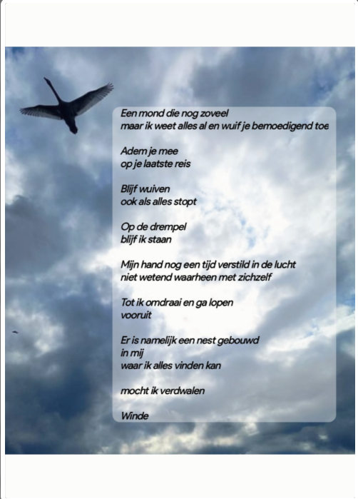 Er is een nest gebouwd