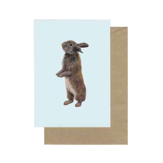 A6 Kaart Jong konijn